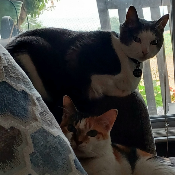 Meet your Posher, Denise - Picture 6 of 6